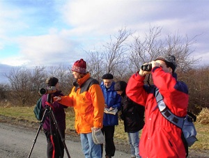 Kenya bird species, kenya birding safaris, birding tours