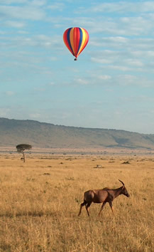 Masai Mara Balloon Safari Kenya